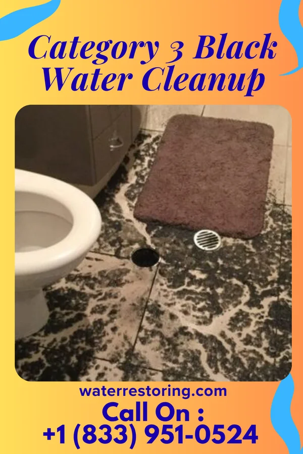 Category 3 Black Water Cleanup in Davenport, WA