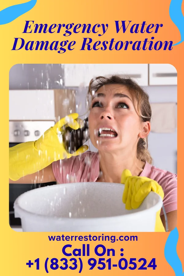 Emergency Water Damage Restoration in Davenport, WA