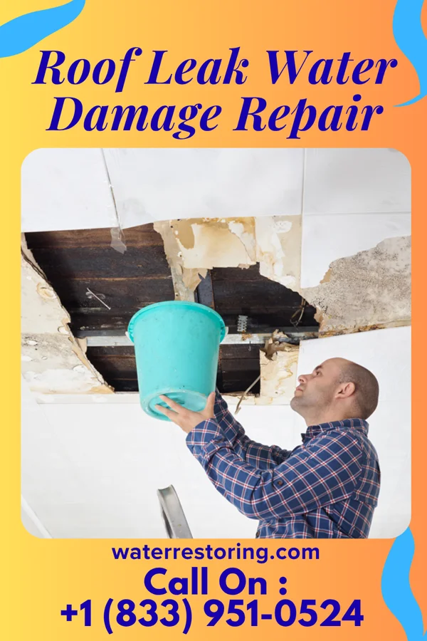 Roof Leak Water Damage Repair in Davenport, WA