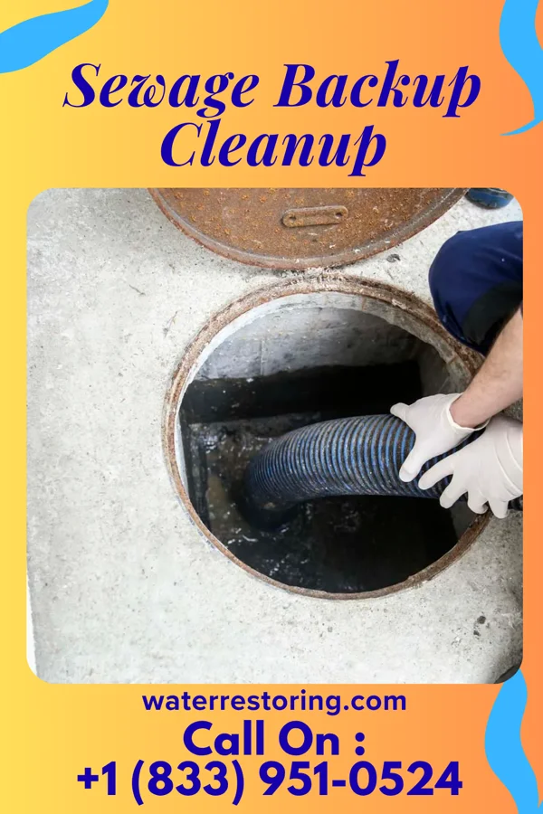 Sewage Backup Cleanup in Davenport, WA