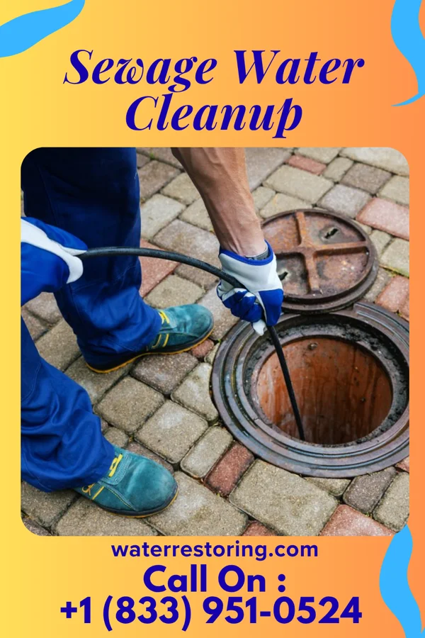 Sewage Water Cleanup in Davenport, WA